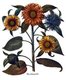 <i>Helianthus</i> or sunflower styled 'Flos Solisprofer'. Basilius Besler, <i>Hortus Eystettenis</i>, 1613